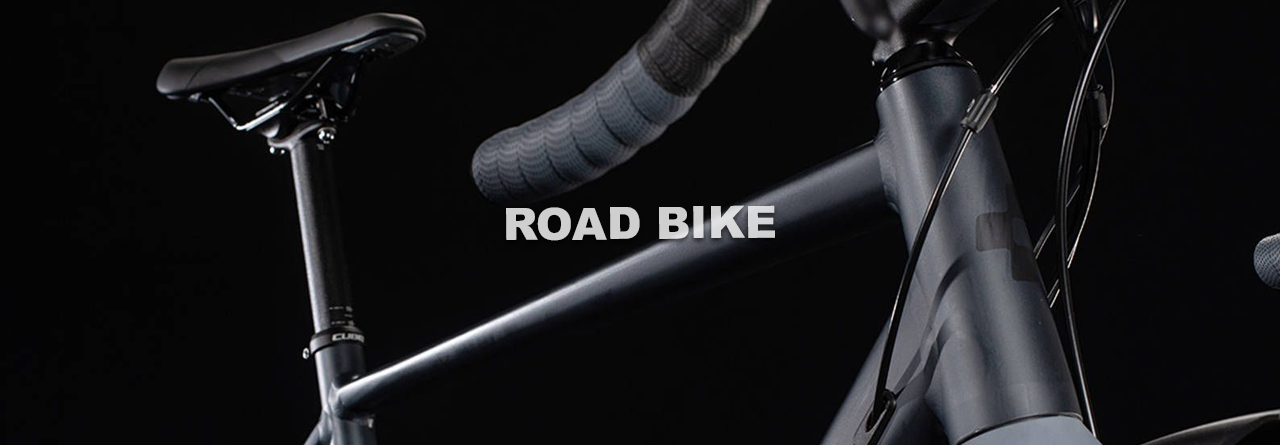 Alpina Raggi Brand page | EurekaBike