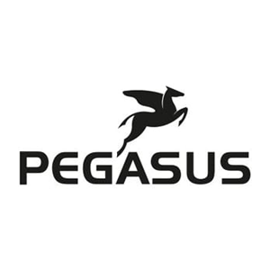Pegasus Brand page | EurekaBike