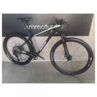 Cross Country MTB Haibike SEET HardNine 