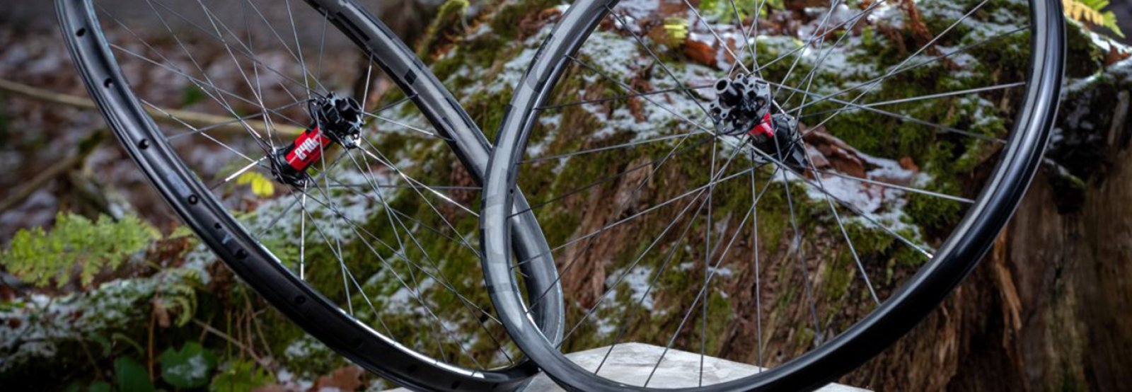 MTB Wheelsets